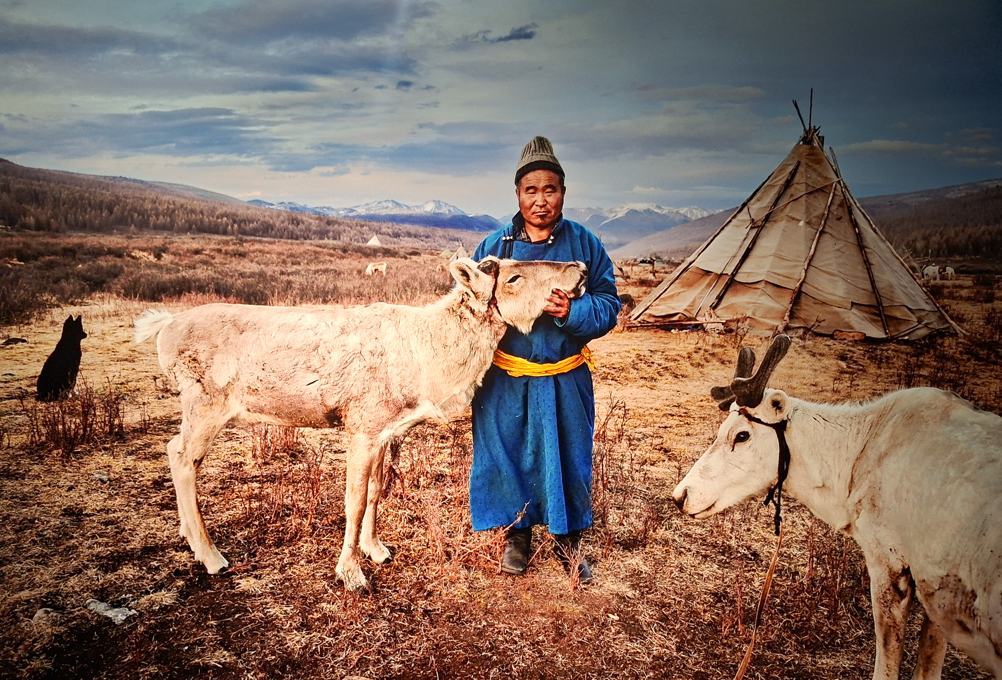 Móvil 20260613 Steve McCurry 101